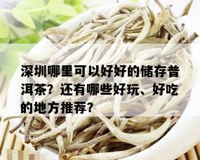 深圳哪里可以好好的储存普洱茶？还有哪些好玩、好吃的地方推荐？