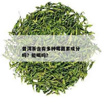 普洱茶含有多种霉菌素成分吗？能喝吗？