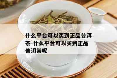 什么平台可以买到正品普洱茶-什么平台可以买到正品普洱茶呢