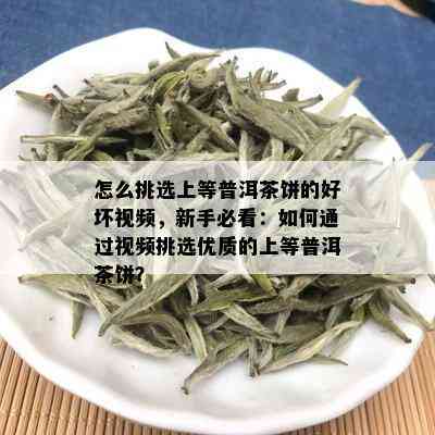 怎么挑选上等普洱茶饼的好坏视频，新手必看：如何通过视频挑选优质的上等普洱茶饼？