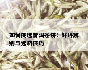 如何挑选普洱茶饼：好坏辨别与选购技巧