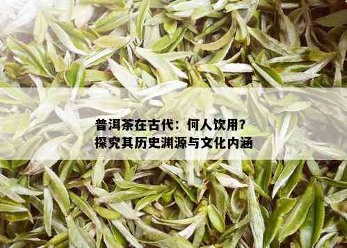 普洱茶在古代：何人饮用？探究其历史渊源与文化内涵