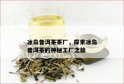 冰岛普洱茶茶厂，探索冰岛普洱茶的神秘工厂之旅