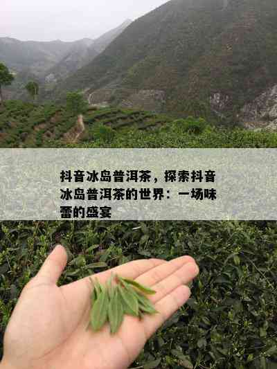 抖音冰岛普洱茶，探索抖音冰岛普洱茶的世界：一场味蕾的盛宴