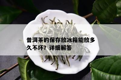 普洱茶的保存放冰箱能放多久不坏？详细解答