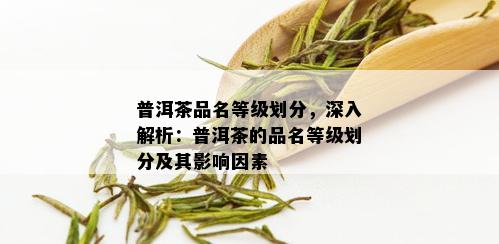 普洱茶品名等级划分，深入解析：普洱茶的品名等级划分及其影响因素