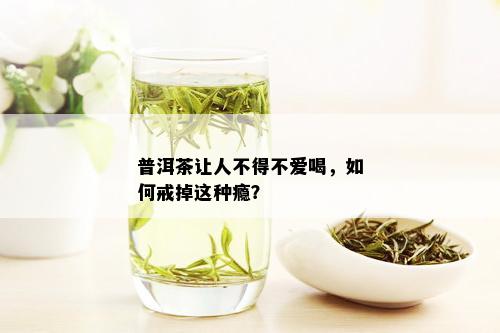 普洱茶让人不得不爱喝，如何戒掉这种瘾？