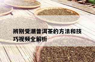 辨别受潮普洱茶的方法和技巧视频全解析