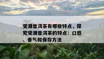 受潮普洱茶有哪些特点，探究受潮普洱茶的特点：口感、香气和保存方法