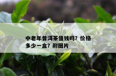 中老年普洱茶值钱吗？价格多少一盒？附图片