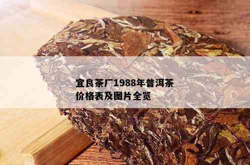 宜良茶厂1988年普洱茶价格表及图片全览