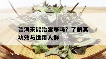 普洱茶能治宫寒吗？了解其功效与适用人群