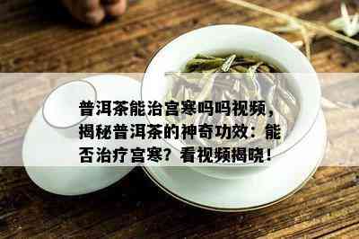 普洱茶能治宫寒吗吗视频，揭秘普洱茶的神奇功效：能否治疗宫寒？看视频揭晓！