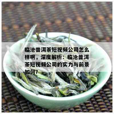 临沧普洱茶短视频公司怎么样啊，深度解析：临沧普洱茶短视频公司的实力与前景如何？