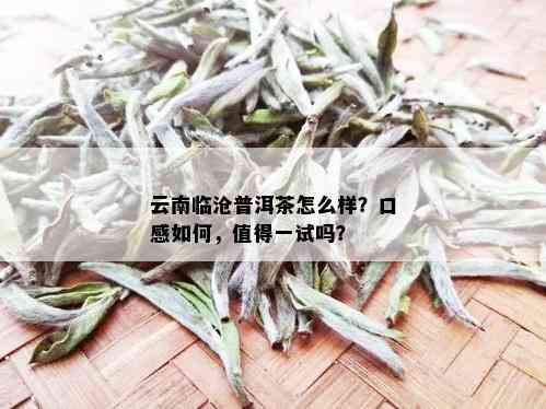 云南临沧普洱茶怎么样？口感如何，值得一试吗？