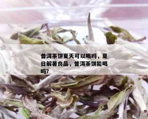 普洱茶饼夏天可以喝吗，夏日解暑良品，普洱茶饼能喝吗？