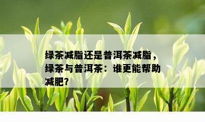 绿茶减脂还是普洱茶减脂，绿茶与普洱茶：谁更能帮助减肥？