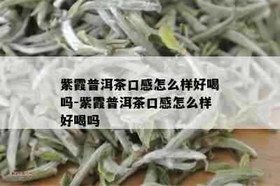 紫霞普洱茶口感怎么样好喝吗-紫霞普洱茶口感怎么样好喝吗