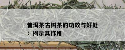 普洱茶古树茶的功效与好处：揭示其作用