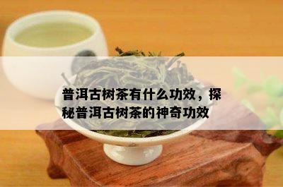 普洱古树茶有什么功效，探秘普洱古树茶的神奇功效