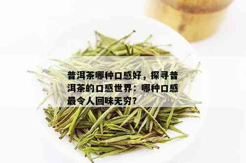 普洱茶哪种口感好，探寻普洱茶的口感世界：哪种口感最令人回味无穷？