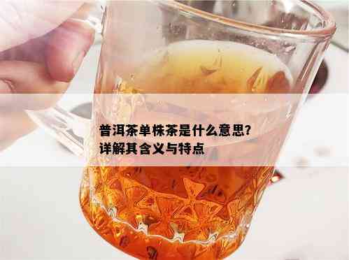 普洱茶单株茶是什么意思？详解其含义与特点