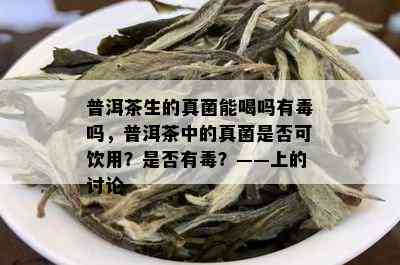 普洱茶生的真菌能喝吗有吗，普洱茶中的真菌是否可饮用？是否有？——上的讨论