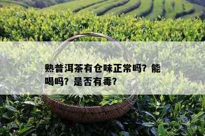 熟普洱茶有仓味正常吗？能喝吗？是否有？