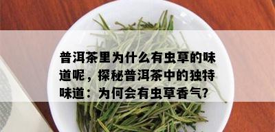 普洱茶里为什么有虫草的味道呢，探秘普洱茶中的独特味道：为何会有虫草香气？