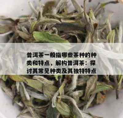 普洱茶一般指哪些茶种的种类和特点，解构普洱茶：探讨其常见种类及其独特特点