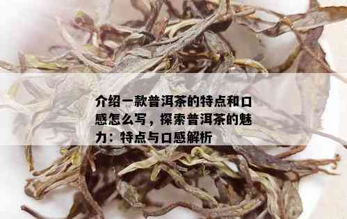 介绍一款普洱茶的特点和口感怎么写，探索普洱茶的魅力：特点与口感解析