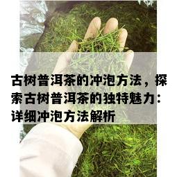 古树普洱茶的冲泡方法，探索古树普洱茶的独特魅力：详细冲泡方法解析