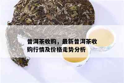 普洱茶收购，最新普洱茶收购行情及价格走势分析