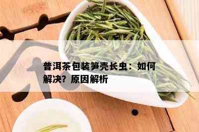 普洱茶包装笋壳长虫：如何解决？原因解析