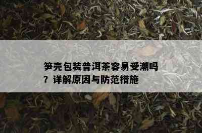 笋壳包装普洱茶容易受潮吗？详解原因与防范措施