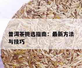 普洱茶挑选指南：最新方法与技巧