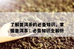 了解普洱茶的必备知识，掌握普洱茶：必需知识全解析