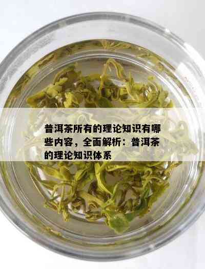 普洱茶所有的理论知识有哪些内容，全面解析：普洱茶的理论知识体系