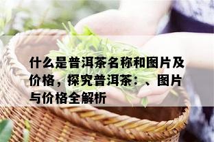 什么是普洱茶名称和图片及价格，探究普洱茶：、图片与价格全解析