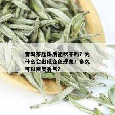 普洱茶压饼后能吹干吗？为什么会出现变色现象？多久可以恢复香气？