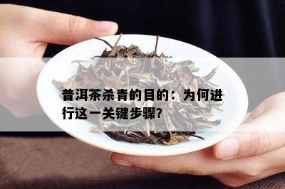 普洱茶杀青的目的：为何进行这一关键步骤？