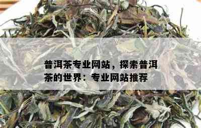 普洱茶专业网站，探索普洱茶的世界：专业网站推荐