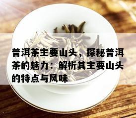 普洱茶主要山头，探秘普洱茶的魅力：解析其主要山头的特点与风味