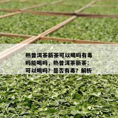 熟普洱茶新茶可以喝吗有吗能喝吗，熟普洱茶新茶：可以喝吗？是否有？解析