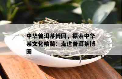 中华普洱茶博园，探索中华茶文化精髓：走进普洱茶博园