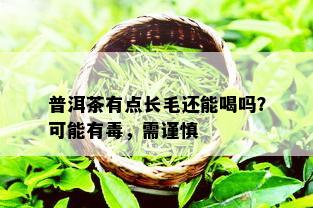 普洱茶有点长毛还能喝吗？可能有，需谨慎