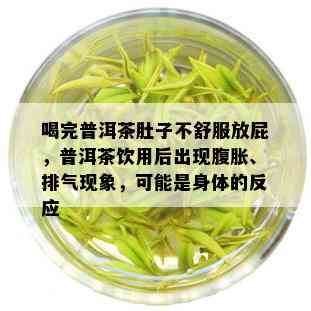 喝完普洱茶肚子不舒服放屁，普洱茶饮用后出现腹胀、排气现象，可能是身体的反应