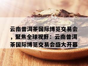 云南普洱茶国际博览交易会，聚焦全球视野：云南普洱茶国际博览交易会盛大开幕