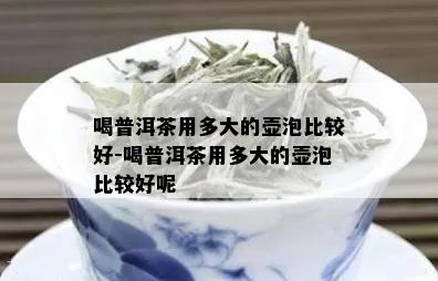 喝普洱茶用多大的壶泡比较好-喝普洱茶用多大的壶泡比较好呢