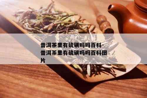 普洱茶里有硫磺吗吗百科-普洱茶里有硫磺吗吗百科图片